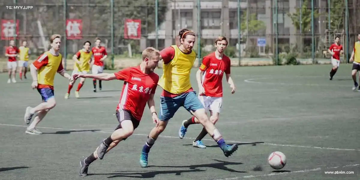 熊猫体育⚽️用热爱奔赴赛场,让世界为你喝彩!