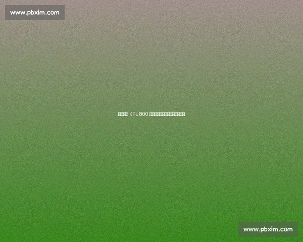 九尾达成 KPL 800 局里程碑,老将再出发续写传奇 九尾达成 KPL 800 局里程碑,老将再出发续写传奇