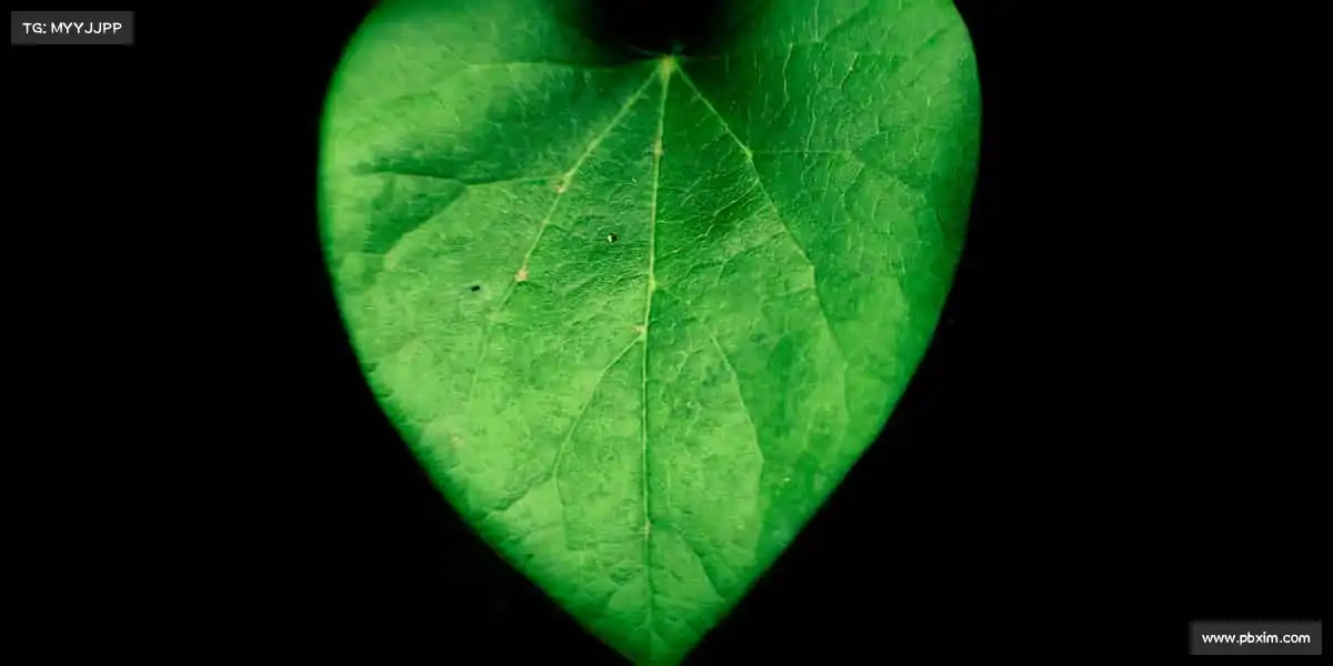 米兰体育⚽每一次挥汗，都是对自己的超越！加入我们，释放运动能量～