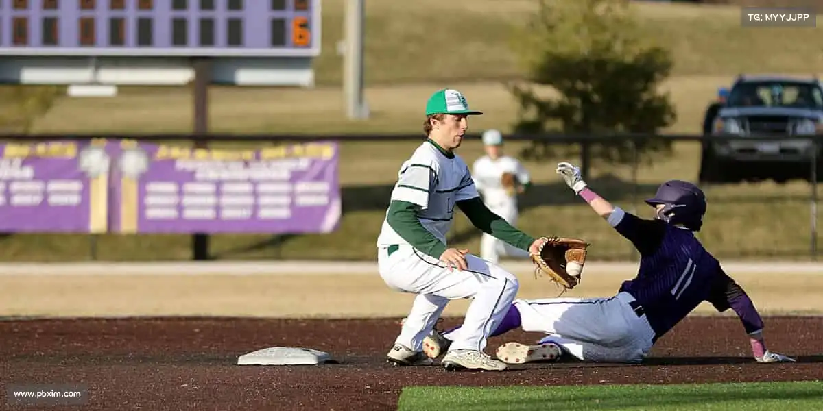 为什么选择我们